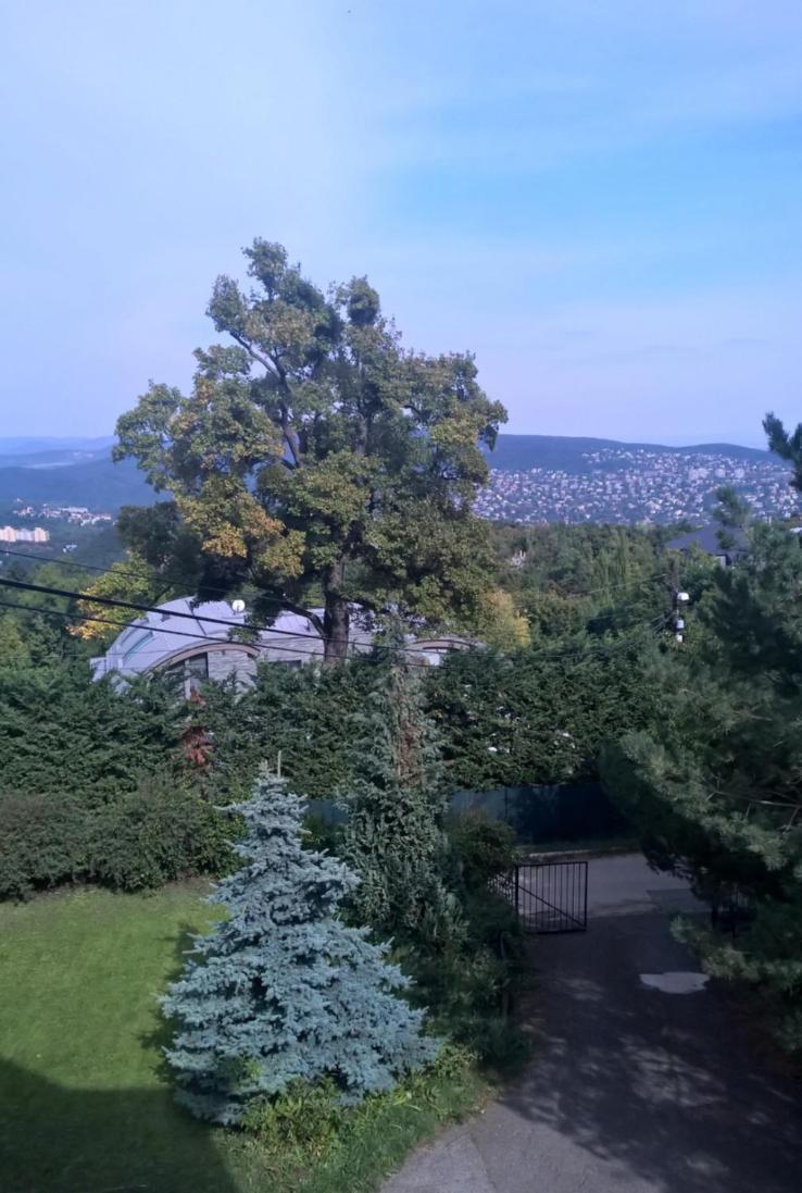 Romantic Two Bedroom Apartments In The Hills Of Budapest With Private Parking ภายนอก รูปภาพ